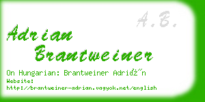 adrian brantweiner business card